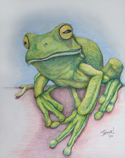 "Froggy Too" - Pastel Pencil Photo Study - Copyright 2020, Jephyr (Jeff Curtis), All Rights Reserved